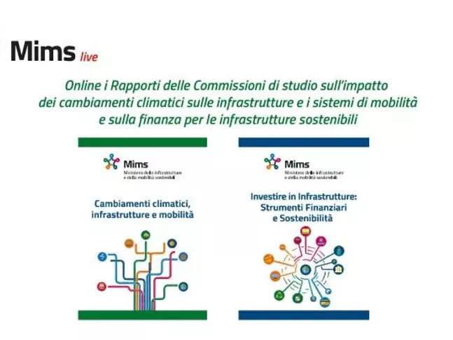 Rapporti della commissioni di studio Mims